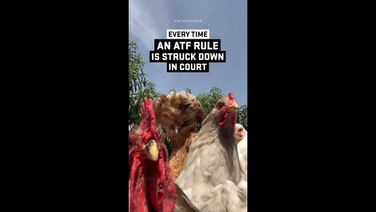 Every time an ATF “Rule” is struck down in court… 😂