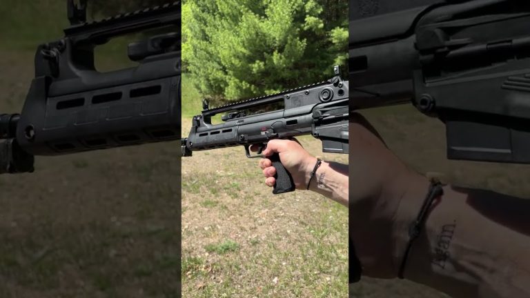 Would you want one? (Springfield Armory Hellion)