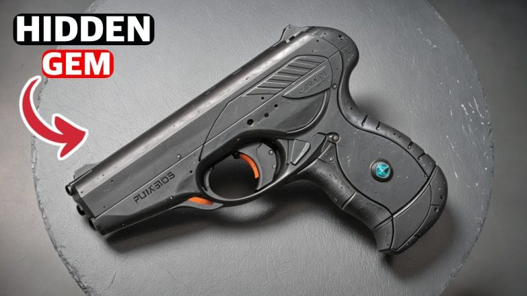 5 MIND-BLOWING Underrated Guns Revealed!