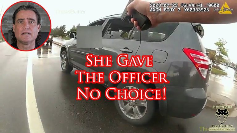 Motorist Inexplicably Pulls Gun On Officer