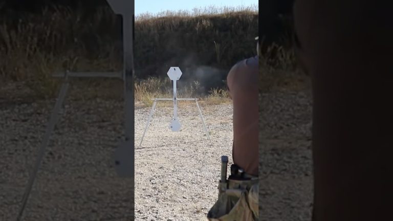 Is this the best shooting target? #shorts #military #training
