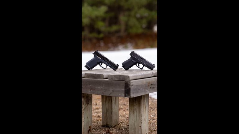 Which would you pick? (GLOCK 19 or RUGER RXM)