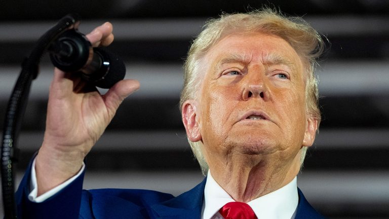 Trump to name Haitian gangs foreign terrorist organizations: report