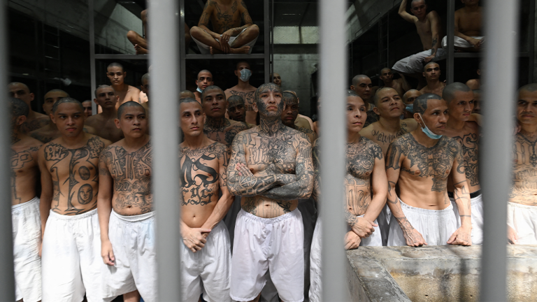 Violent MS-13 gangbangers getting ‘desperate’; DHS official credits early Trump action