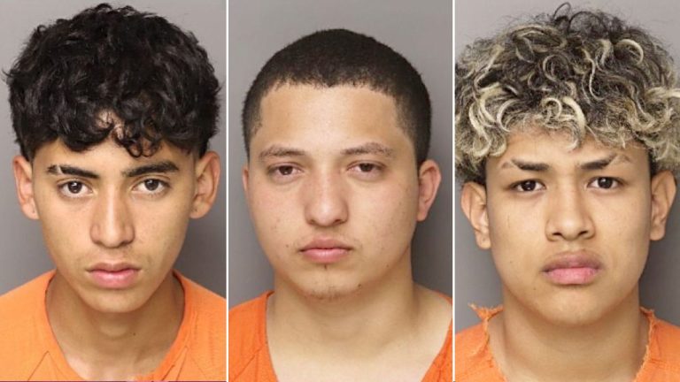 Six illegal migrants charged in South Carolina mother’s murder defy ‘decency’ in ‘civilized society’: sheriff