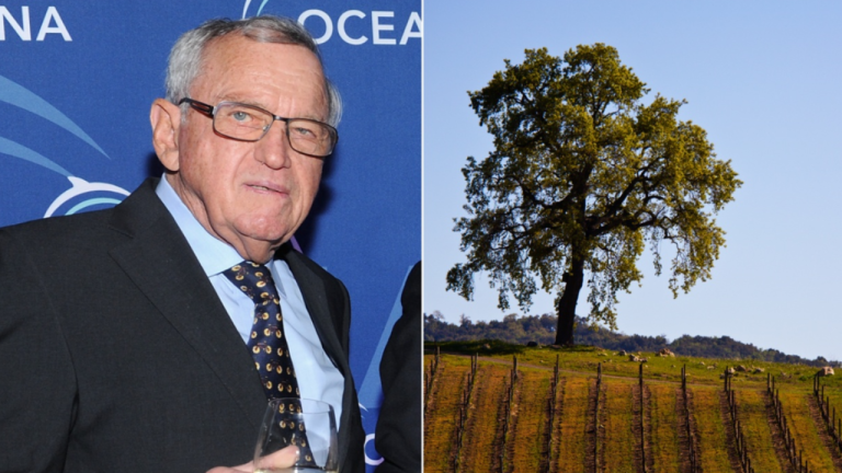 Swiss-born liberal megadonor slapped with lawsuit for allegedly groping, sexually harassing winery employee