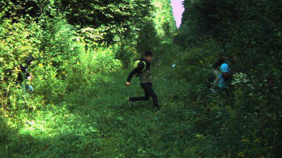 migrants are spotted near the northern border