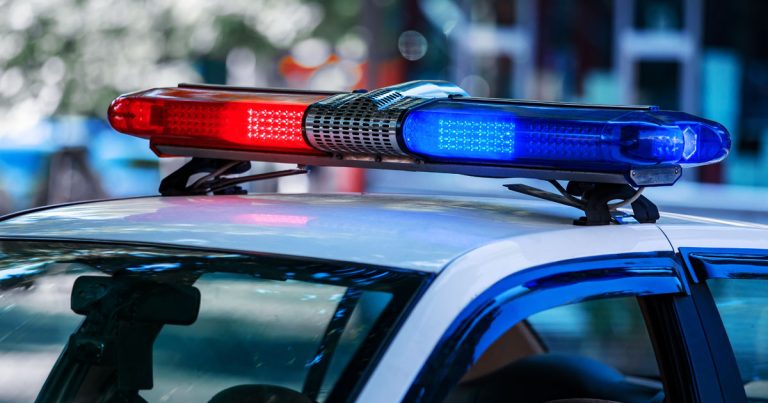 Homeowner Opens Fire on Group Attempting Car Burglary and Home Invasion in Early Morning Incident