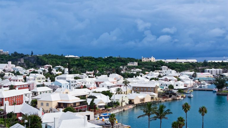 US cruise passengers nabbed after allegedly possessing lethal drug powerful enough to sedate elephants