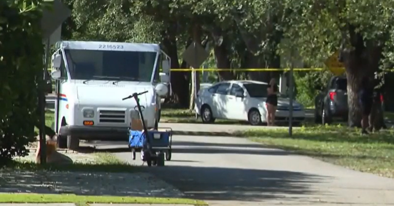 Florida Man Released After Stabbing Mail Carrier In Alleged Self-Defense, Then Talks To Reporters