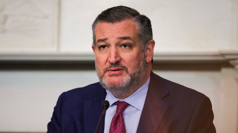 Cruz slams UN’s Israel ‘genocide’ charge, pushes for consequences