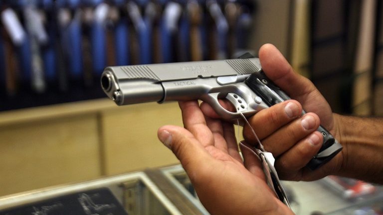 DOJ sues LA sheriff’s office in first-ever gun-rights lawsuit over carry delays