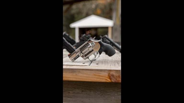 Would you carry a revolver like this for personal defense? 🤔