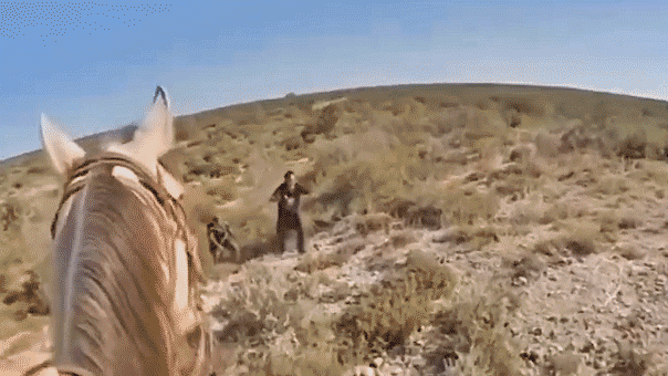 Texas mounted patrol caught on camera capturing illegal immigrant hiding in ranch brush near southern border