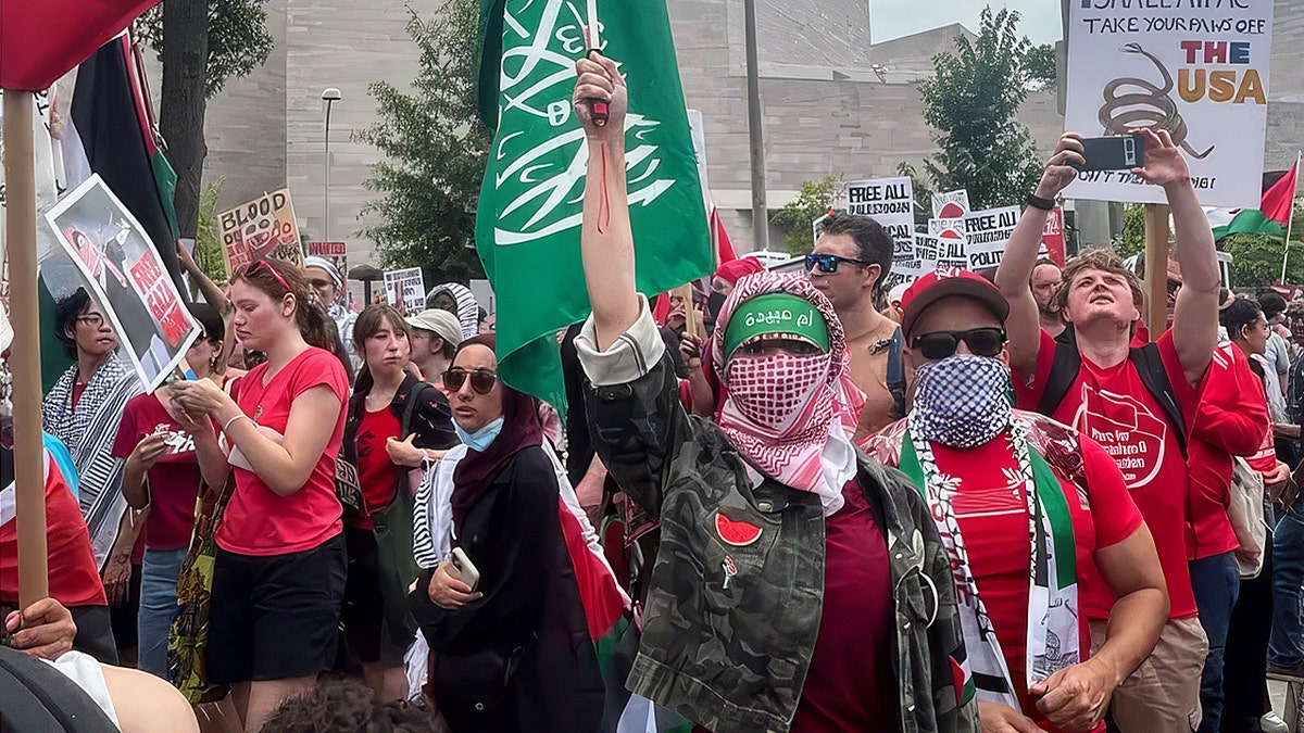 A Hamas supporter protesting against Israel in Washington D.C.