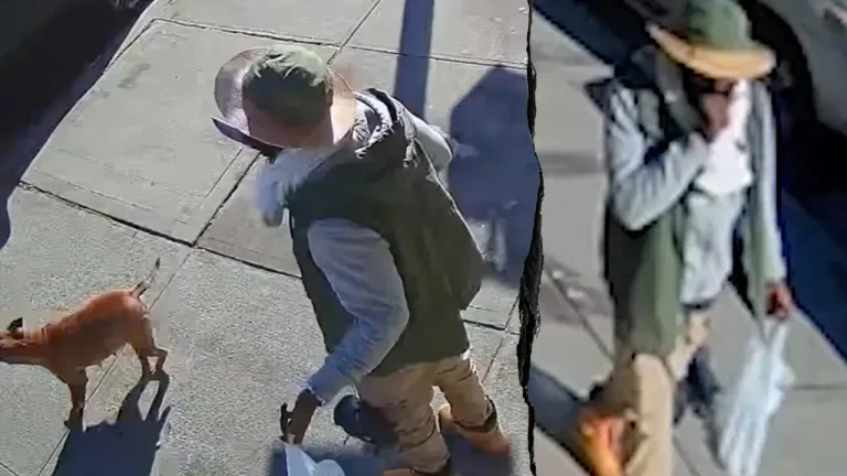 Machete-wielding offender with 20 arrests charged in blue city hit-and-run that killed cancer survivor