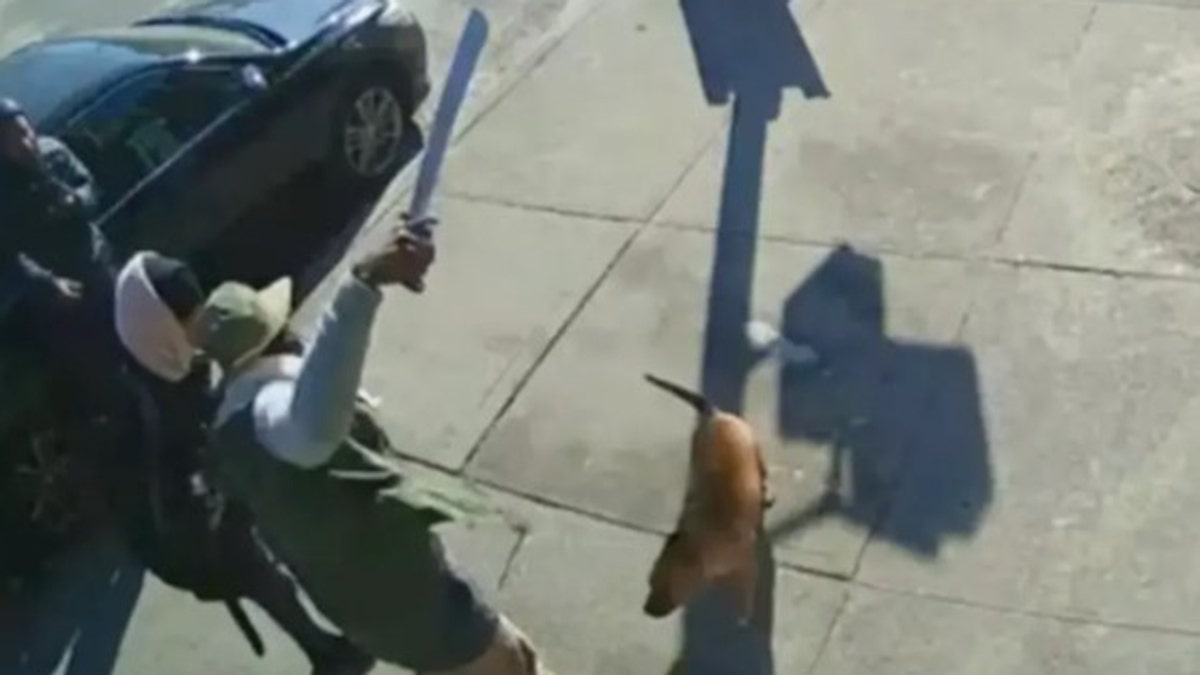 Police footage of Timothy Bohler in the moments before he allegedly attacked a man with a machete in New York