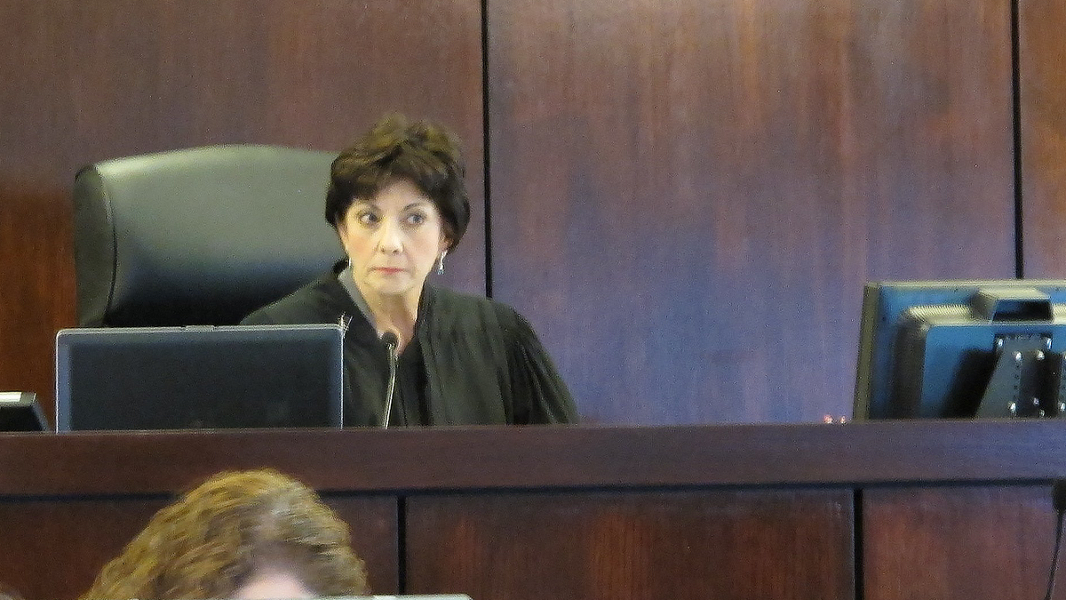 sc judge diane goodstein in court