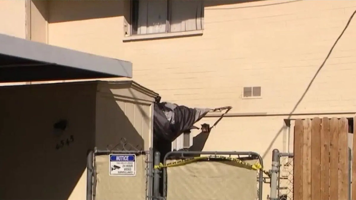 Investigators said the home was "filthy," with trash, insects and unsanitary conditions.