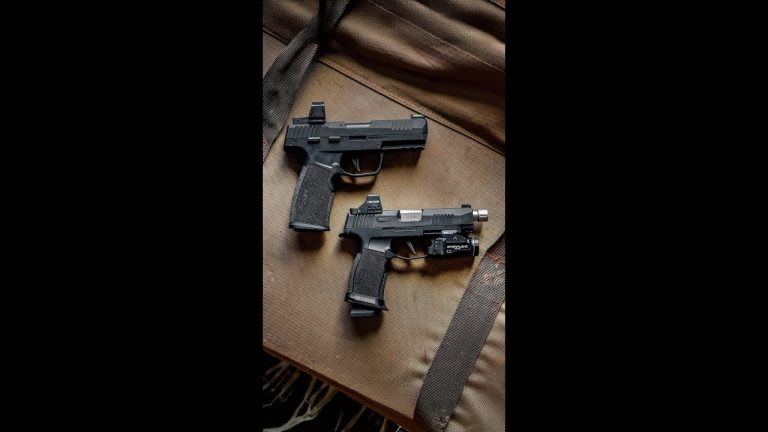 Pause To See Which Pistol You’ll Carry 👀