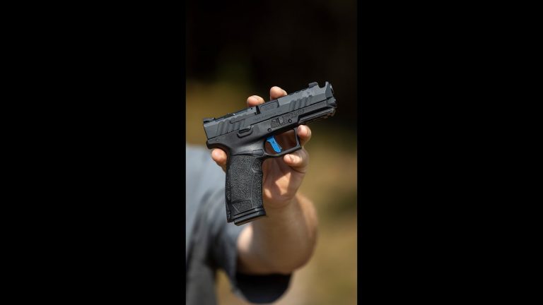 Would you get the PX-9 Carry Comp over an equivalent Glock/SIG at twice the price? 🤔