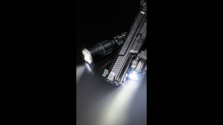 👀 What Would You Do If You Saw This on Your Trail Camera?