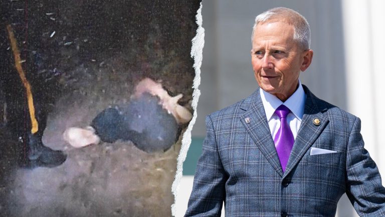 Former aide to House rep accused of faking political attack