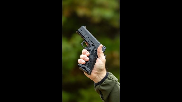 Would you carry one? 👀 (Girsan Witness 2311 BRAT)