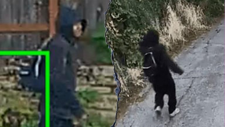 Seattle robber bites off 88-year-old woman’s finger during violent robbery, police say