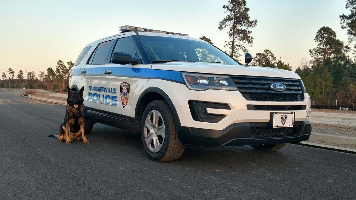 Summerville Police car