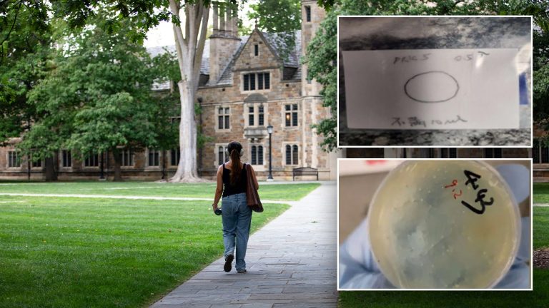 What we know about the Chinese nationals accused of smuggling biological materials while at university lab