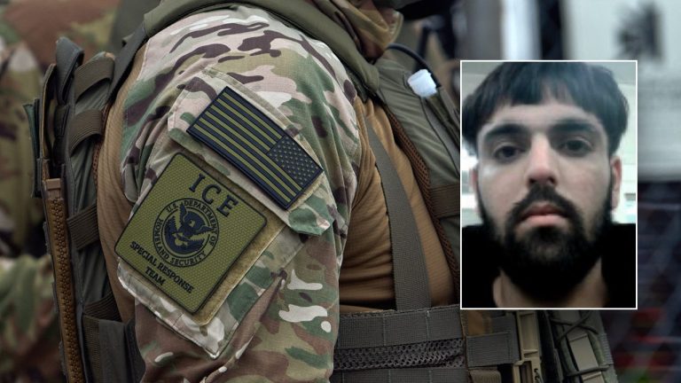 Illegal immigrant truck driver accused in fatal Washington crash released on $100,000 bond