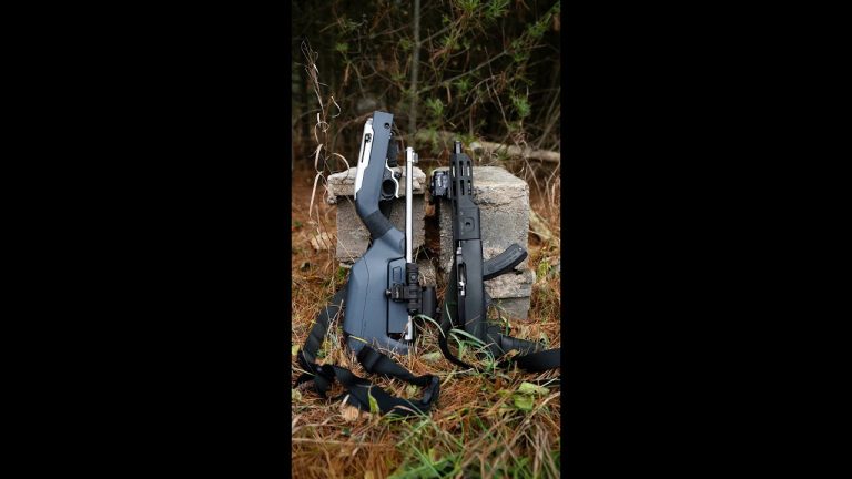 Which Ruger would you rather have? (Charger vs Takedown)