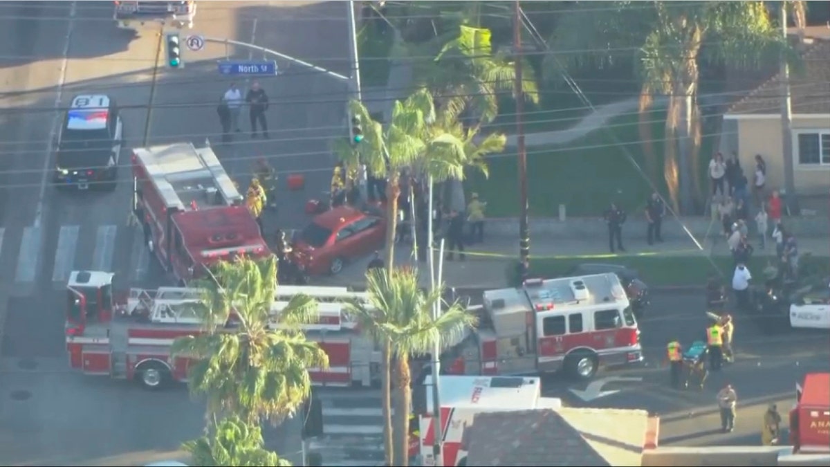 A large police response was spotted at the scene.