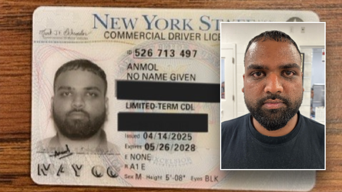 Anmol illegal alien with no name license