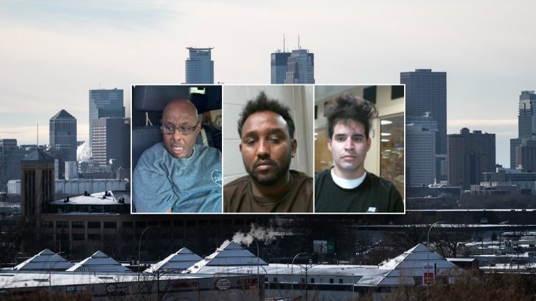 ICE operation in Minneapolis arrests seven ‘worst of the worst’ criminal illegal aliens