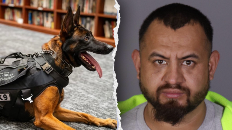 Illegal immigrant gang member killed police K-9 ‘Spike’ before officers returned fire in California: source