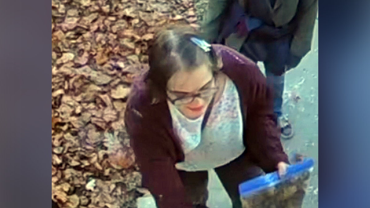 Morgan Geyser Escaped