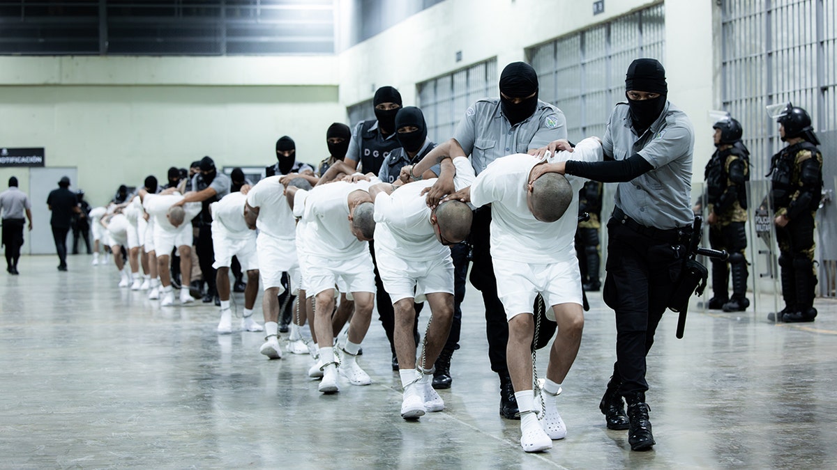 El Salvador guards bring in prisoners with their heads shaved