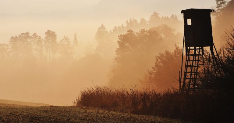 Tragic Hunting Accident Claims Life of Louisiana Man in Lafourche Parish
