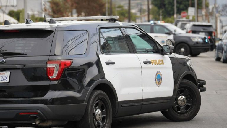 California driver allegedly kills 2 more people while out on bail for previous fatal crash