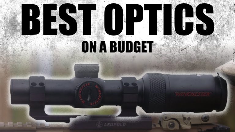 Best Optics On A Budget | Tactical RIfleman