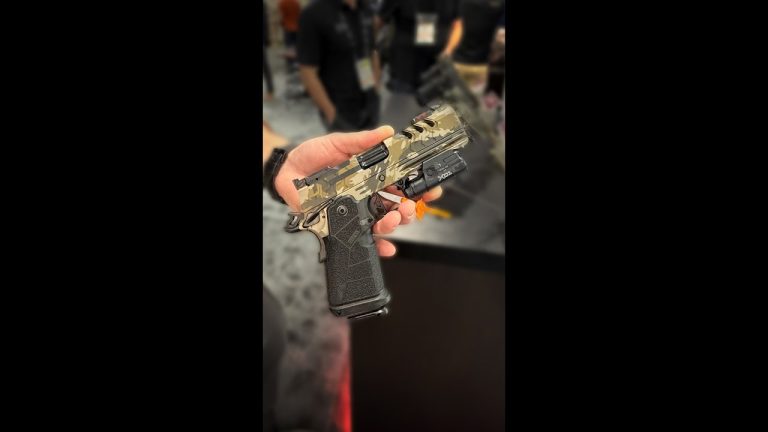 Kimber 2011 Concept Carry Pistol