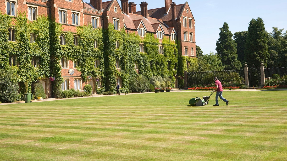 checker board cut grass