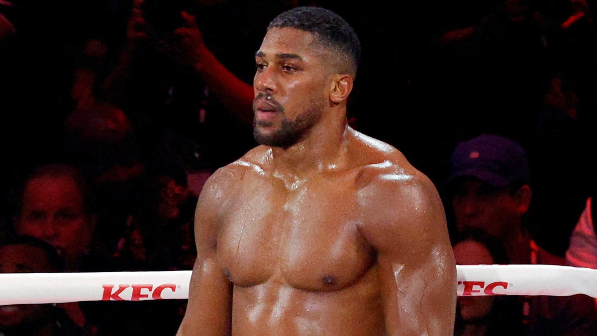 Anthony Joshua stands in his corner