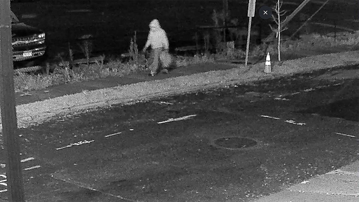 DC pipe bomb suspect