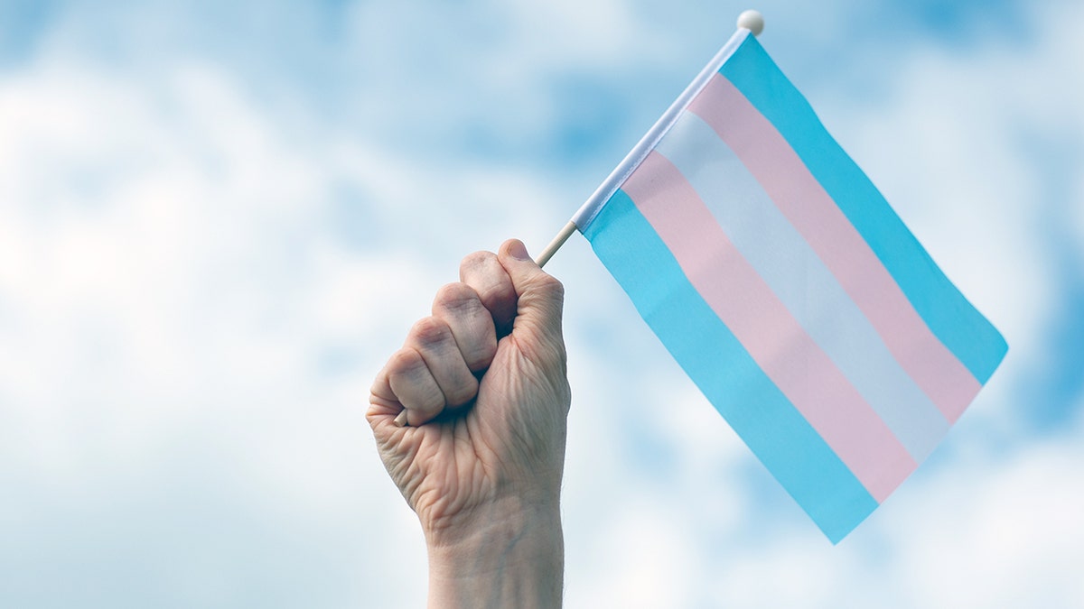 A hand holds up a small transgender pride flag.