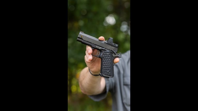 Which would you pick? (Nighthawk Treasurer or Beretta 92X Performance)