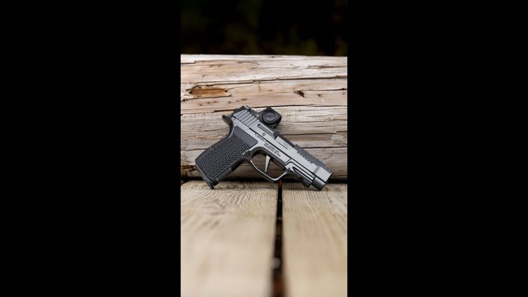 Which would you choose? (S&W Bodyguard 2 PC or SIG P365 LUXE)