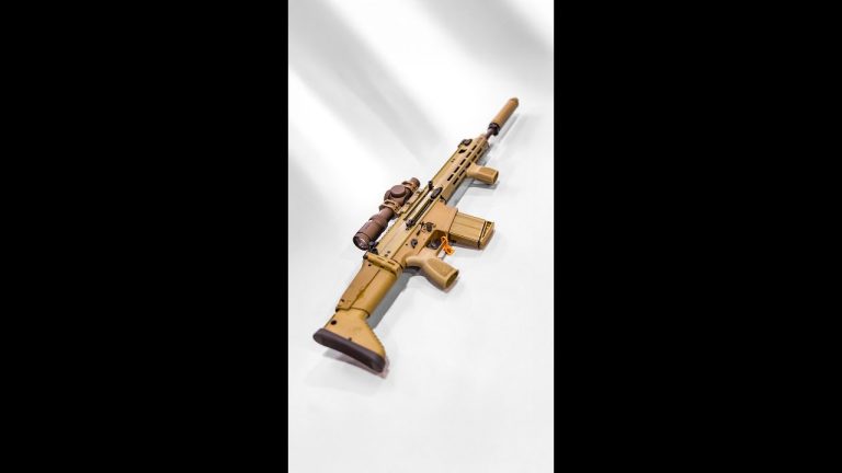 Virginia Proposes to Ban Popular Firearms Because They Mimic “Military” Lethality!